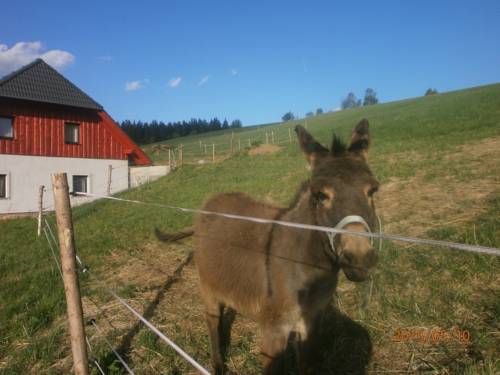 Zdikov Tschechien Promo-Code Booking.com