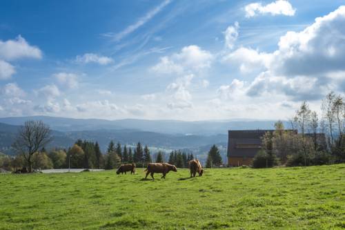 Janov nad Nisou Tschechien Promo-Code Booking.com
